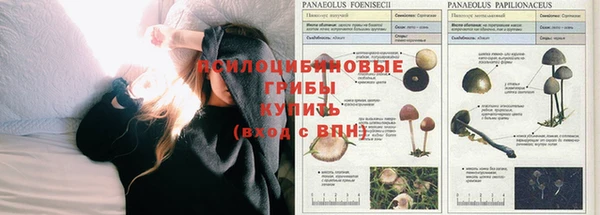 скорость Алексин