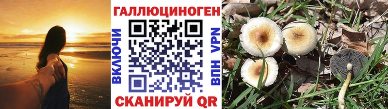OMG зеркало  Печоры  Галлюциногенные грибы мухоморы 