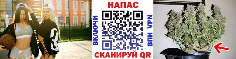 Шишки марихуана Ganja  Печоры 